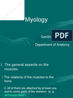 Myology: Gansheng-Wei Department of Anatomy