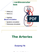 Arteries