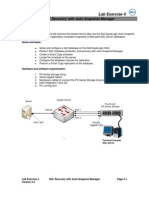 SQL Recovery With Auto Snapshot Manager: Lab Exercise 4