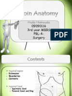 Anatomy of The Groin