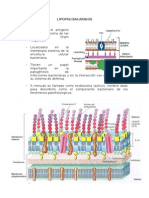 LIPOPOLISACARIDOS