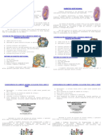 Diabetes Gestacional - Panfleto