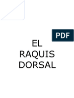 Raquis Dorsal (50 Pag) - Osteopatia