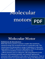 Molecular Motor