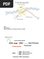 Transcripcion Rna