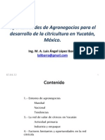 Oportunidades Agronegocios Citricos Yucatan