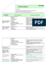 Ejemplo de Formatos de NDCB