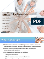 Group Cohesion 