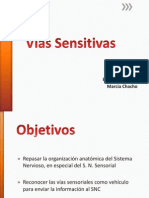 Vías Sensitivas y Sensoriales