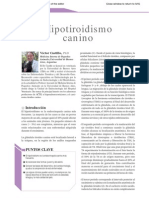 Revista Veterinary Focus Patologias Endocrinas