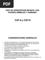 Presentacion (Cat Aycat H)