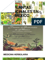 Plantas Medicinales en México