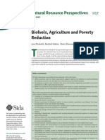 Biofuels, Agriculture and Poverty Reduction: Natural Resource Perspectives 107