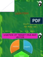 Dna Ligase, Terminal Transferase, Adapter and Linker