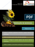 Producao de Biodiesel-2