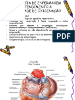 NHB Oxigenio I