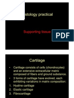 Histology of Cartilage and Bone-SLIDE 21