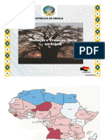 Angola PDF