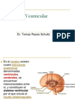 Sistema Ventricular