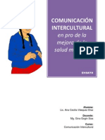 Ensayo Comunicación Intercultural