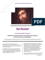 The Passion of Jesus, Testimony of Catalina, Visionary