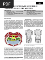 Anatomia de Pared Abdominal