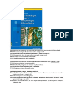 Clasificación de La Reabsorción de Reborde