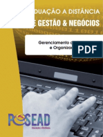 Gerenciamento de Projeto e Organizacao FGF