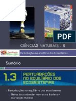 Powerpoint Nr. 2 - Efeitos Da Catástrofes Naturais (Intervenção Humana)