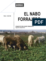 El Nabo Forrajero PDF