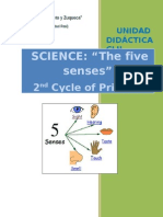 Unit Clil - FIVE SENSES - 2º Cycle