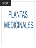 Plantas Medicinales Alejandro