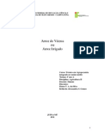 Arroz de Varzea PDF