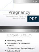 Corpus Luteum and Pregnancy