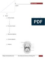 Digestive System Notes Outline