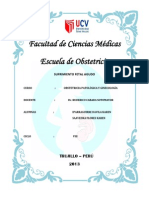 Informe SFA