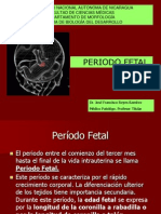 Periodo Fetal