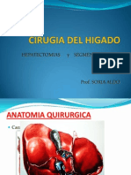 Cirugia Del Higado