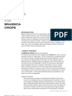 Organic Insect and Disease Control FOR: Brassica Crops