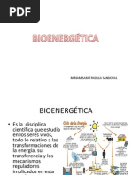 14 - Bioenergetica