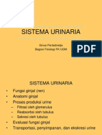 Sistem Urinaria