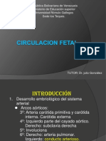 CIRCULACION FETAL (Seminario Oficial)