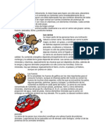 Alimentos de Origen Animal y Vegetal