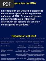 Reparación Del DNA