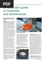 Essential Guide For Footbaths