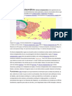 Retículo Endoplasmáticoel