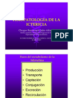 Fisiopatologia Ictericia