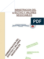 Administracion Del Efectivo y Valores Negociables - Cindy