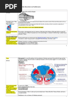 Pyramid & Extrapyramidal Disorders