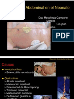 Distencion Abdominal en El Recien Nacido